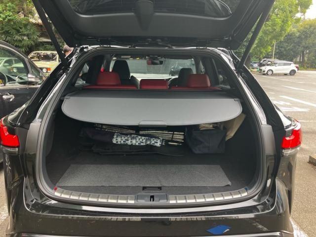 LEXUS RX500h