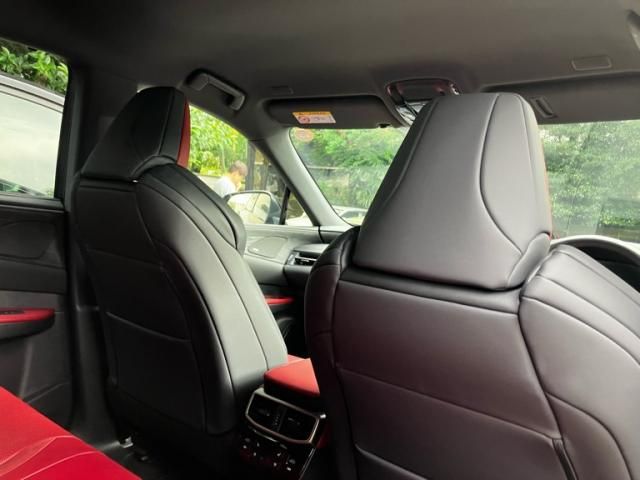 LEXUS RX500h