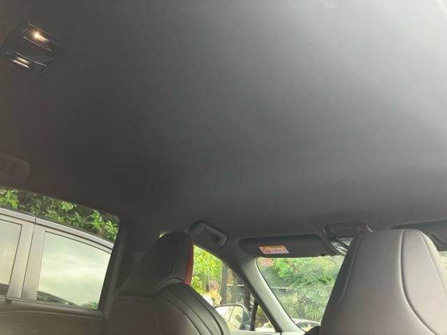 LEXUS RX500h