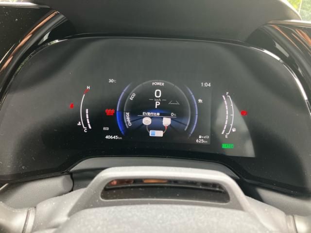 LEXUS RX500h