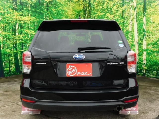FORESTER