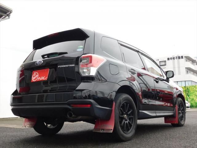 FORESTER