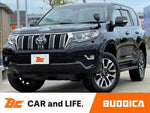 LANDCRUISER PRADO