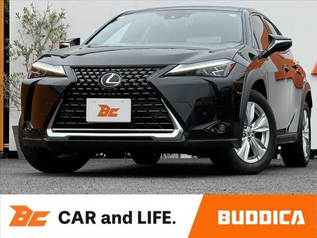 LEXUS UX250h