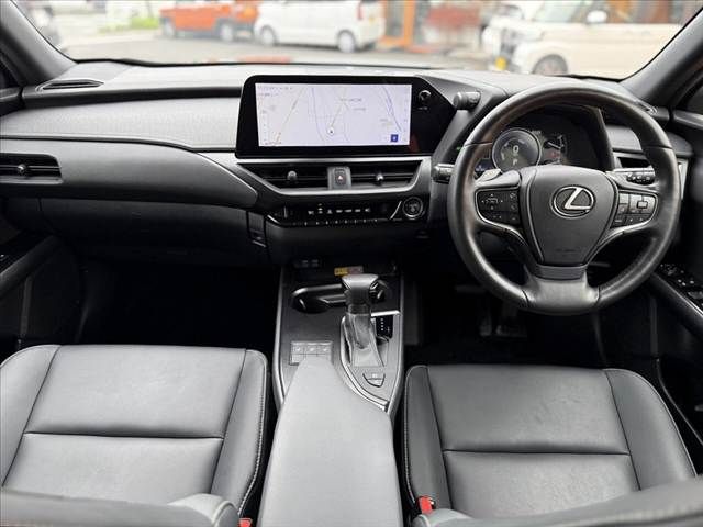 LEXUS UX250h