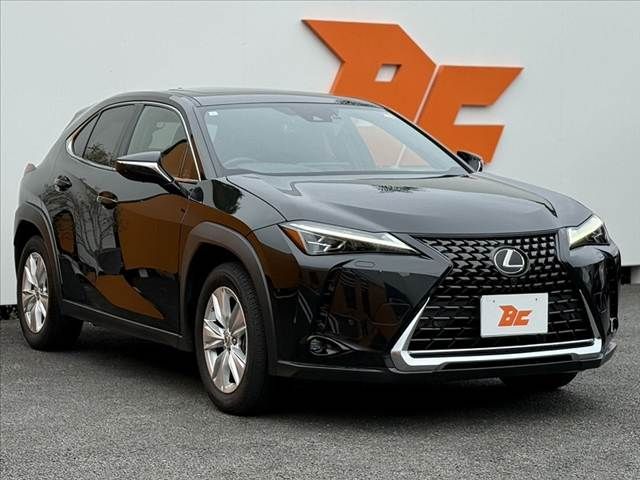 LEXUS UX250h