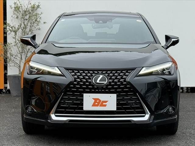 LEXUS UX250h