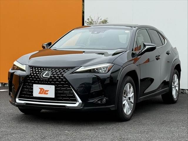 LEXUS UX250h