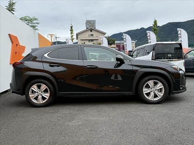 LEXUS UX250h