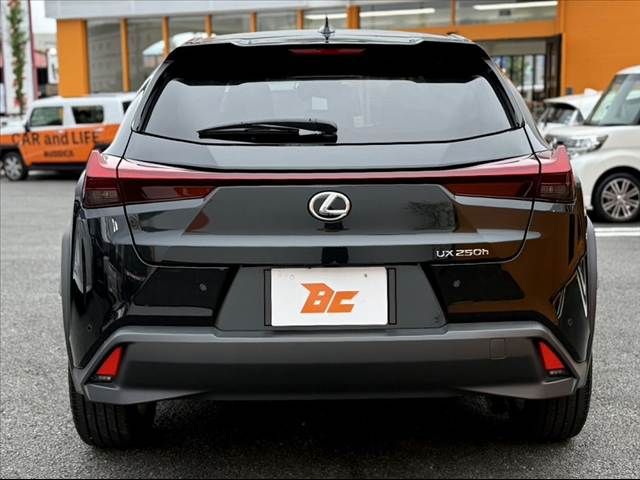 LEXUS UX250h