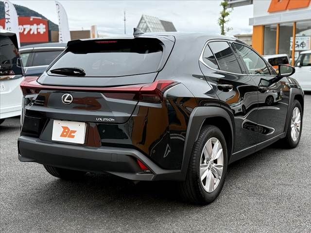 LEXUS UX250h