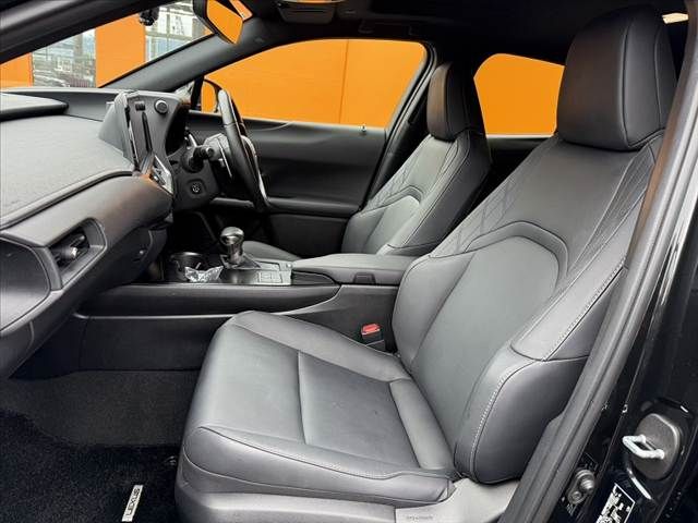 LEXUS UX250h