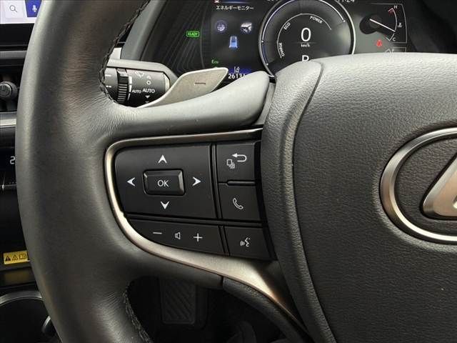 LEXUS UX250h