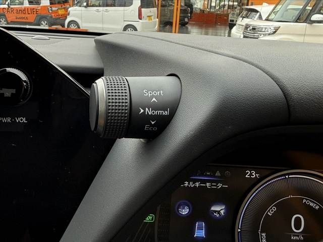 LEXUS UX250h