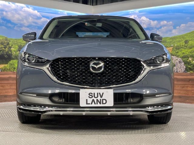CX-30