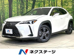 LEXUS UX300h