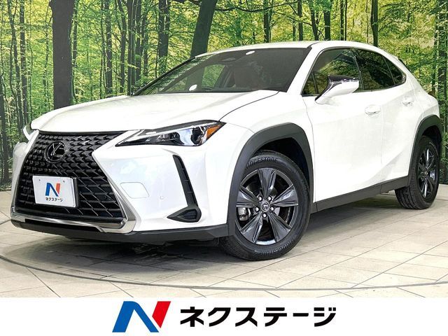 LEXUS UX300h