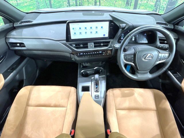 LEXUS UX300h