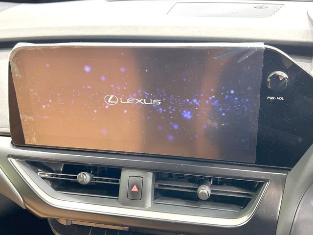 LEXUS UX300h