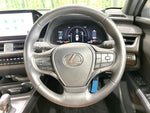 LEXUS UX300h