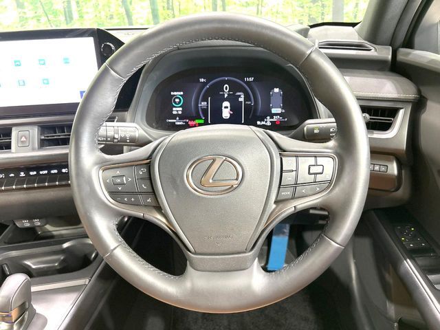 LEXUS UX300h