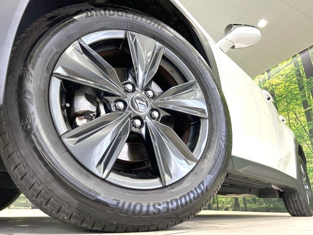 LEXUS UX300h