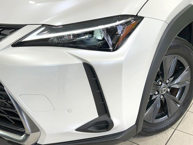 LEXUS UX300h