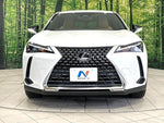 LEXUS UX300h