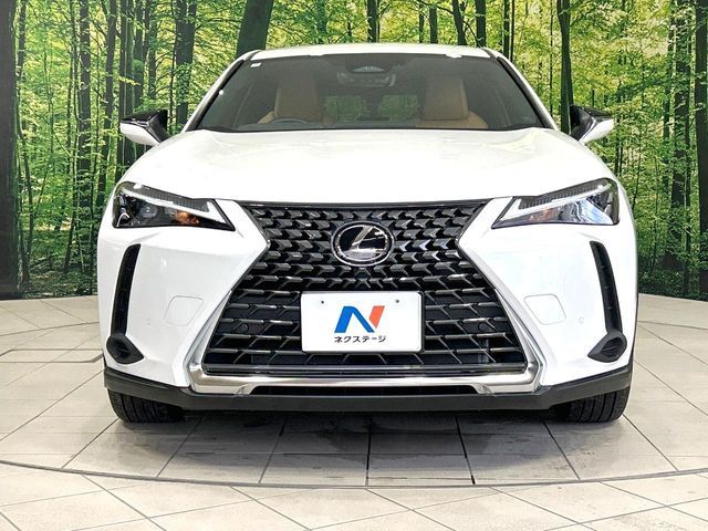 LEXUS UX300h