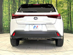 LEXUS UX300h