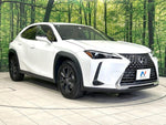 LEXUS UX300h