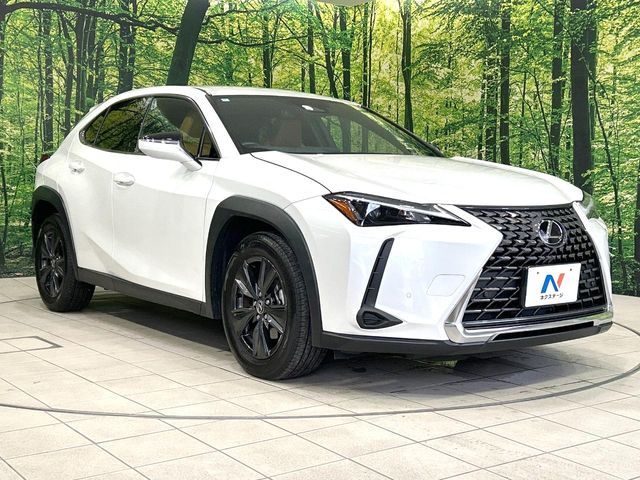 LEXUS UX300h