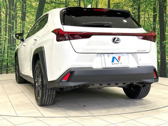 LEXUS UX300h
