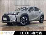 LEXUS UX300h