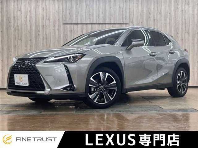 LEXUS UX300h