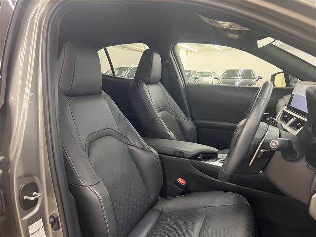 LEXUS UX300h