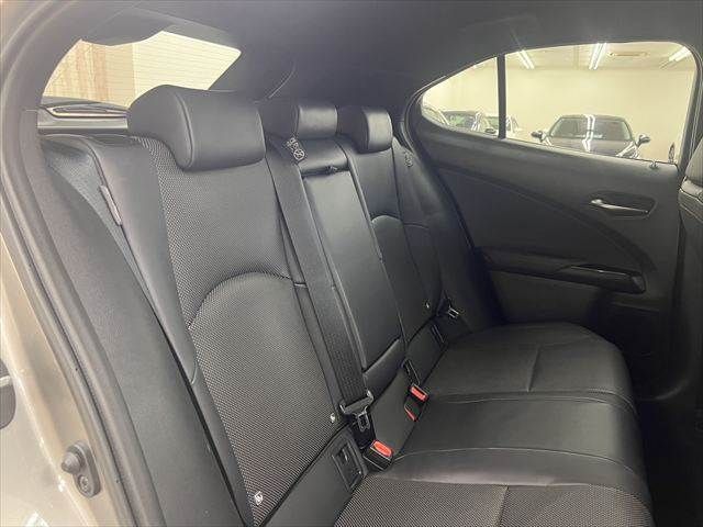 LEXUS UX300h