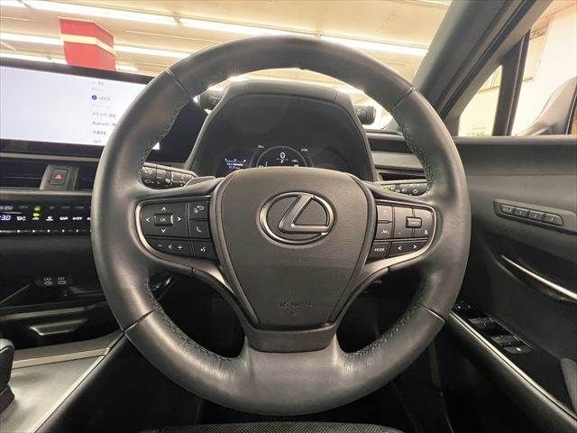 LEXUS UX300h