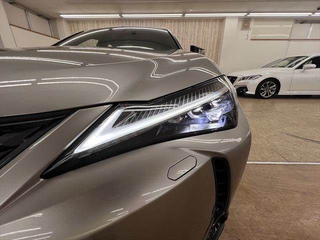 LEXUS UX300h