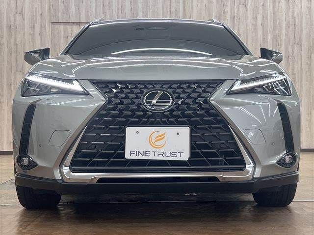 LEXUS UX300h
