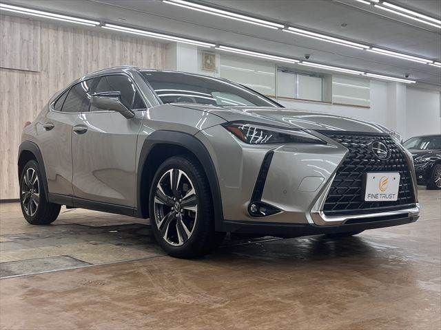 LEXUS UX300h