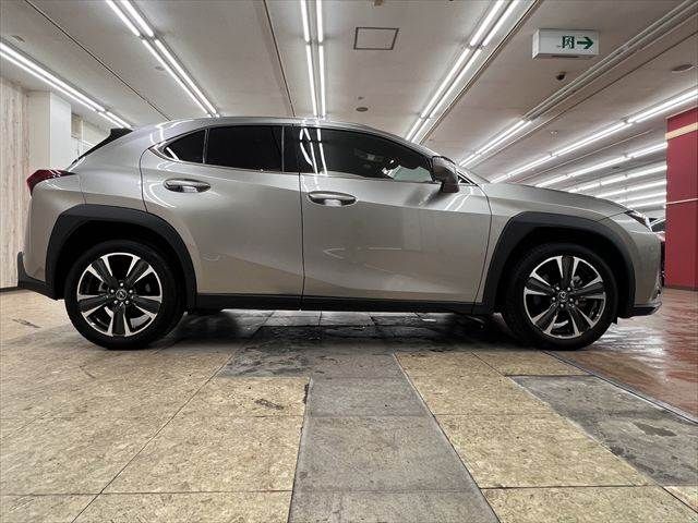 LEXUS UX300h