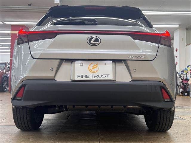 LEXUS UX300h