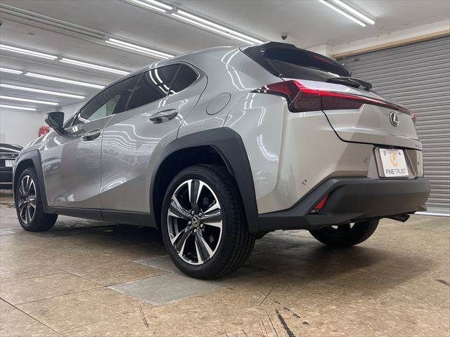 LEXUS UX300h