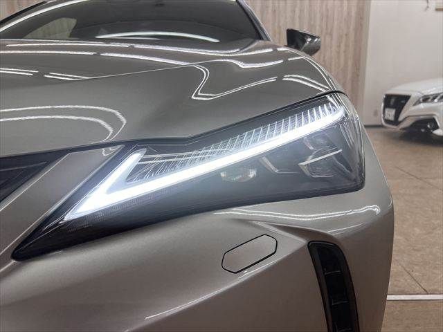 LEXUS UX300h