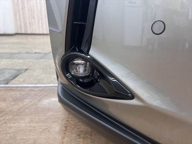LEXUS UX300h