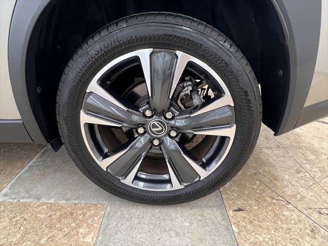 LEXUS UX300h