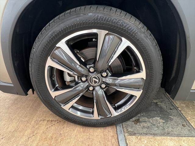 LEXUS UX300h