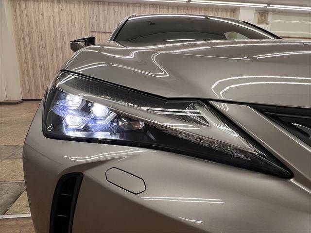 LEXUS UX300h