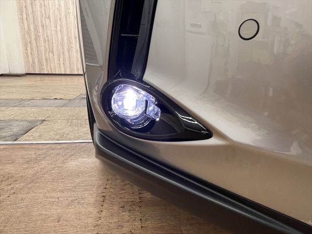 LEXUS UX300h